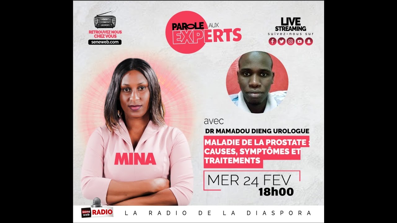 Parole aux Experts: Maladie de la prostate : Causes, Symptômes et Traitements
