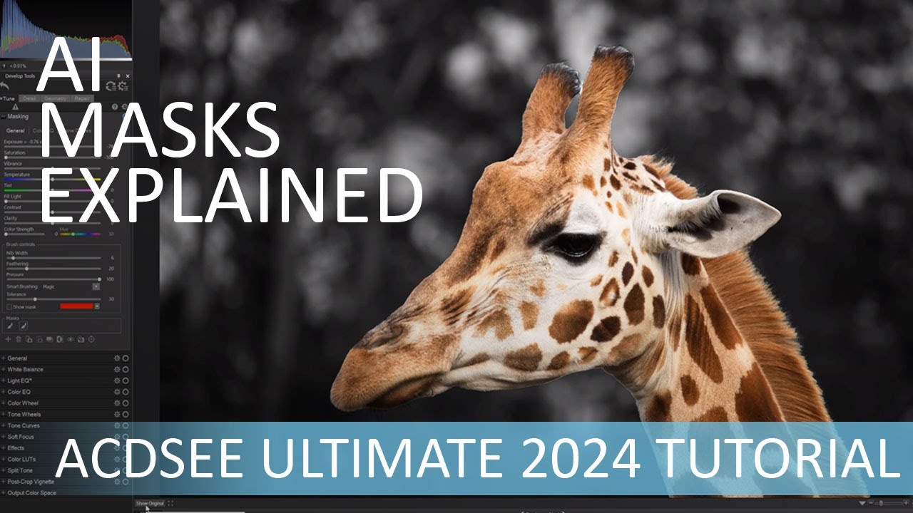 How to use AI masks in ACDSee Ultimate 2024