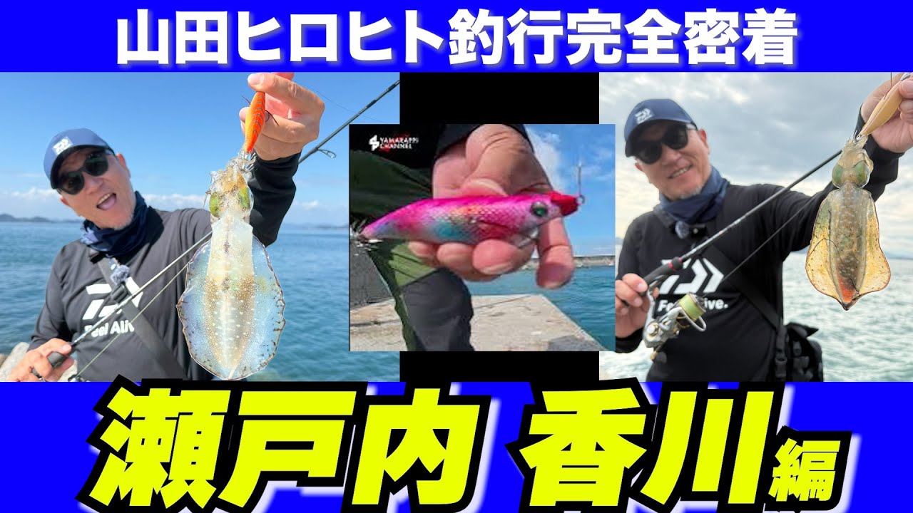 【エギング】瀬戸内海で秋イカエギングを楽しもう【激流激ムズ】