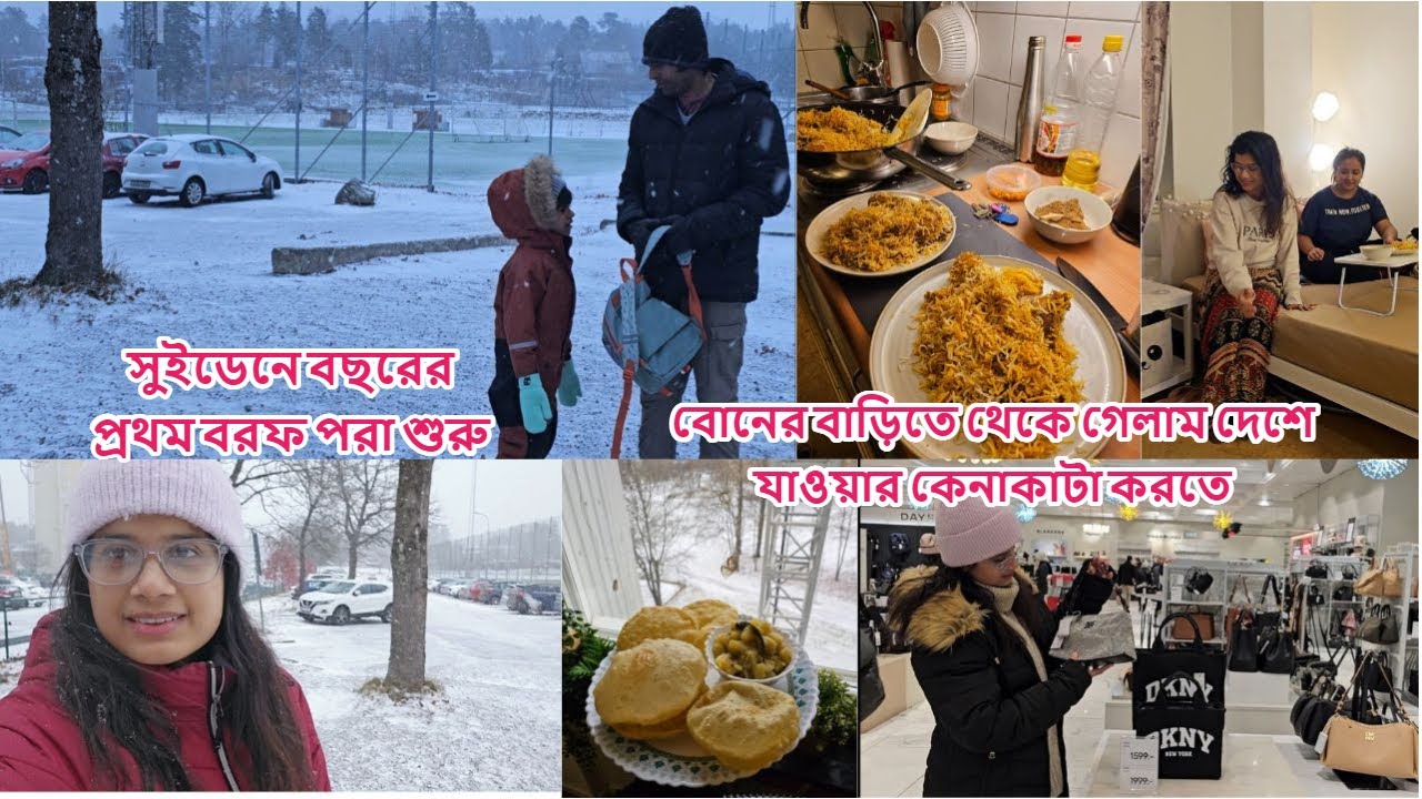 সুইডেনে বছরের প্রথম বরফ পড়লো, বোনের বাড়িতে থাকতে গেলাম দেশে যাওয়ার কেনাকাটা করতে #sweden #snowfall