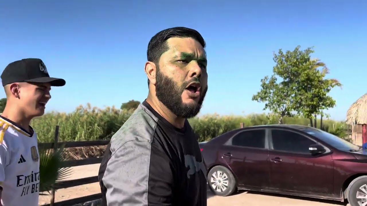 Todos coludos o todos rabones