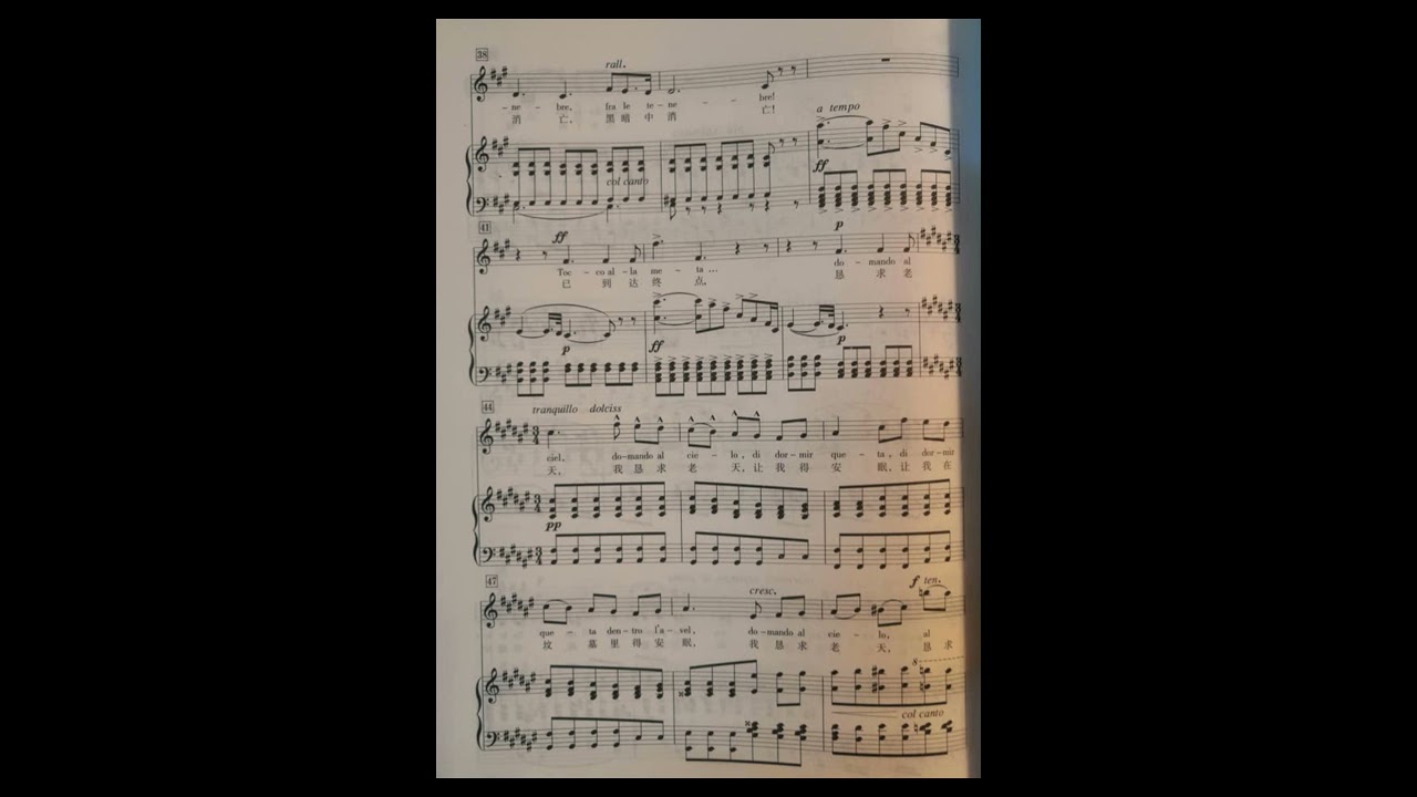 Suicidio (La Gioconda) 毁灭吧 (乔康达) piano accompaniment music  钢琴伴奏音乐