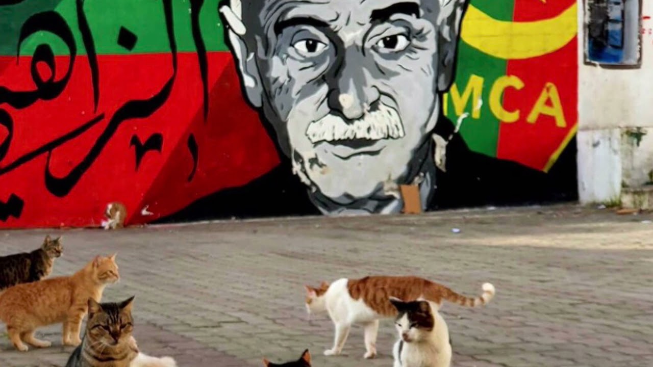 Ezzahi - Ya dabel laayen