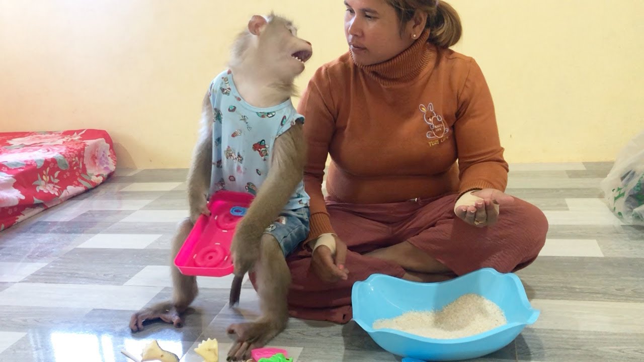 Hilarious Jason Abruptly Warn Mom To Stop Disturb While Concentrate Play Toys