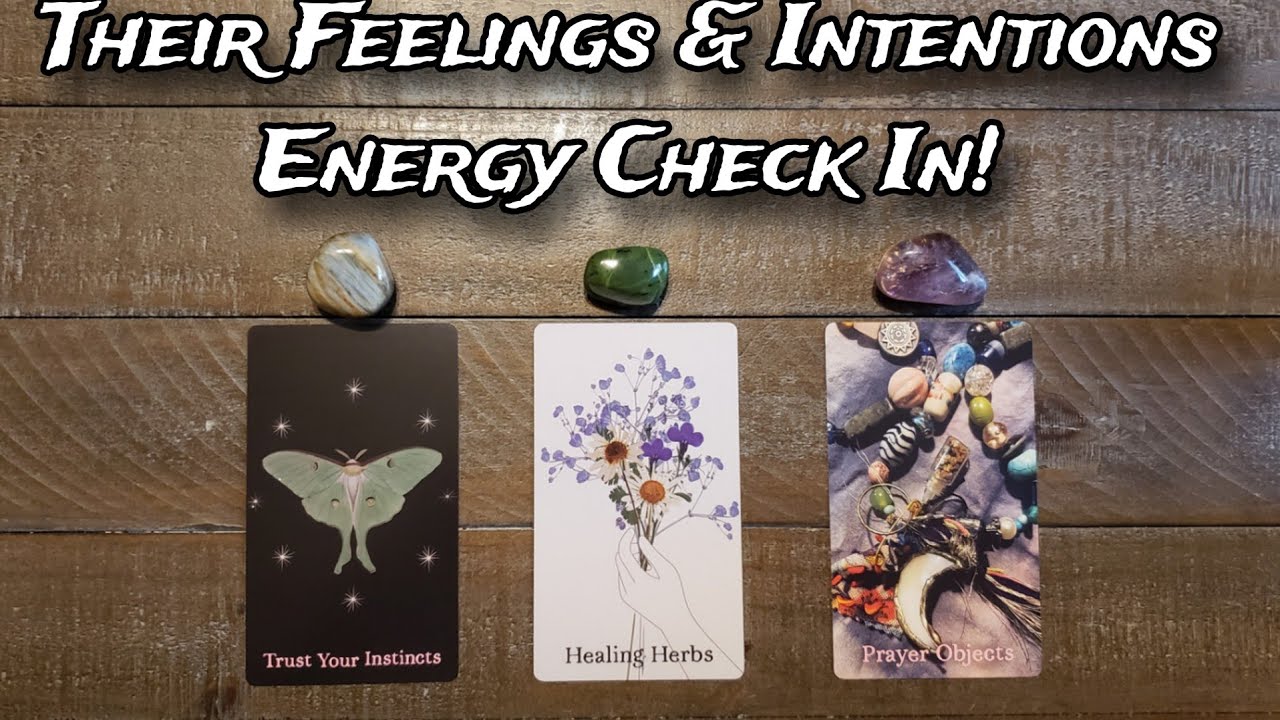 💕❤ Their Current Feelings & Intentions | Energy Check In! 💕❤  Pick A Card Love Reading