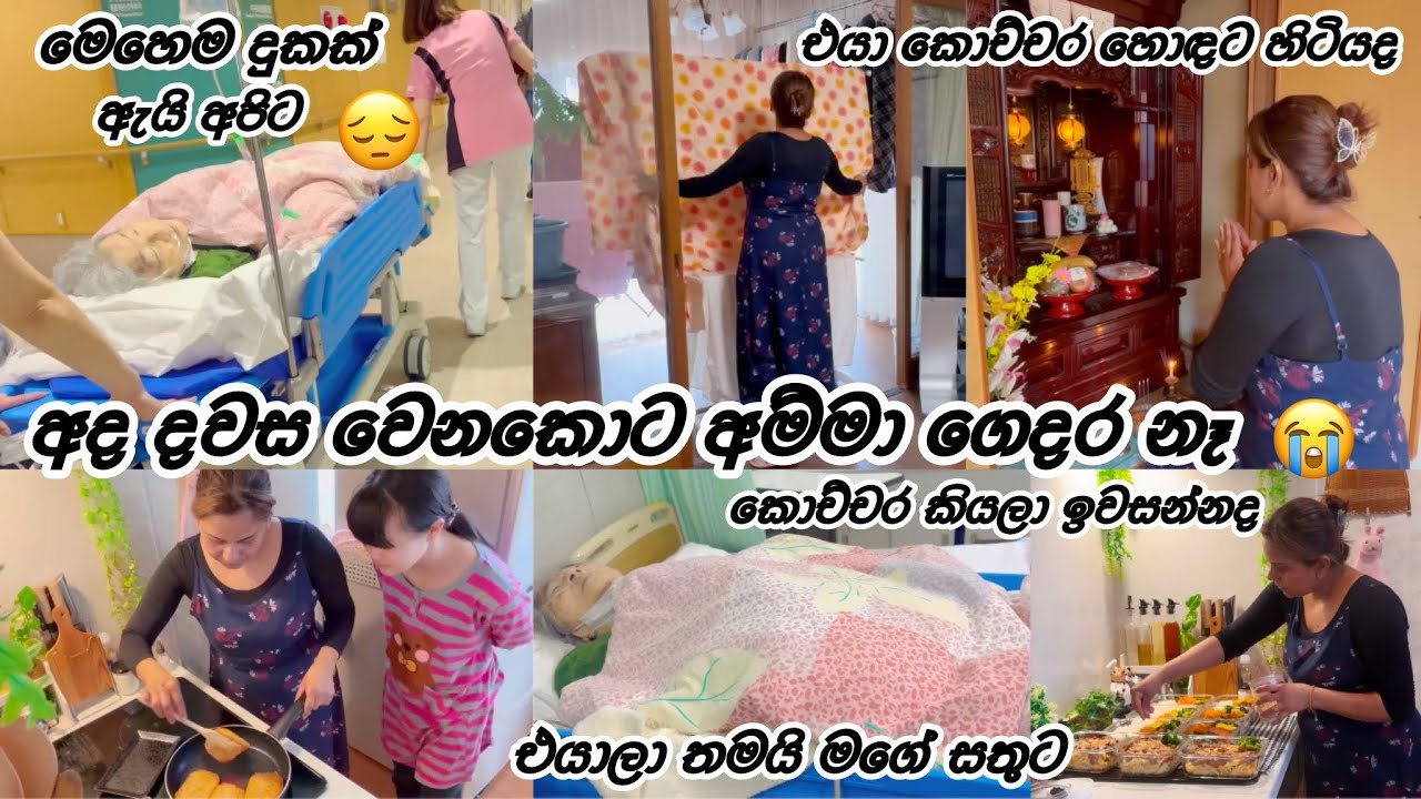 හොඳට හිටපු අම්මා 😭| Life in japan 🇱🇰🇯🇵