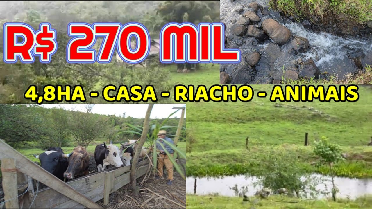 (VENDIDO) CHÁCARA EM SANTO ANTÔNIO DA PATRULHA 4,8HA CASA RIACHO  BOIS ÉGUA  GALINHAS R$  R$ 270 MIL