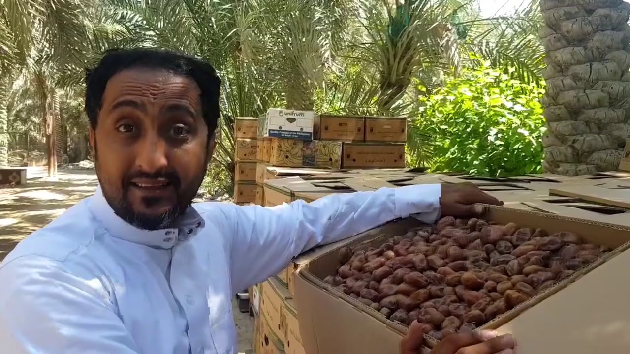 أكبر مزرعة ورد بالأحساء لقاء مع الأستاذ عبدالله العامر بمزرعة ابوجواد المطلق 0560646315