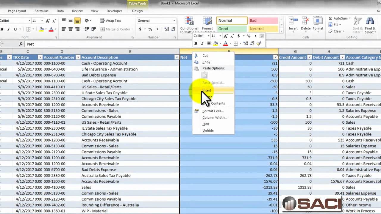 GL Summary Trial Balance made easy with Excel Pivot Tables
