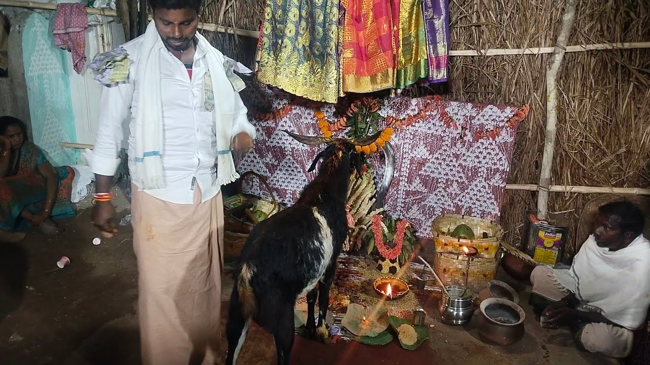 Golla chadhuvuu.... Avala sankhar raoo ...02-02-2026
