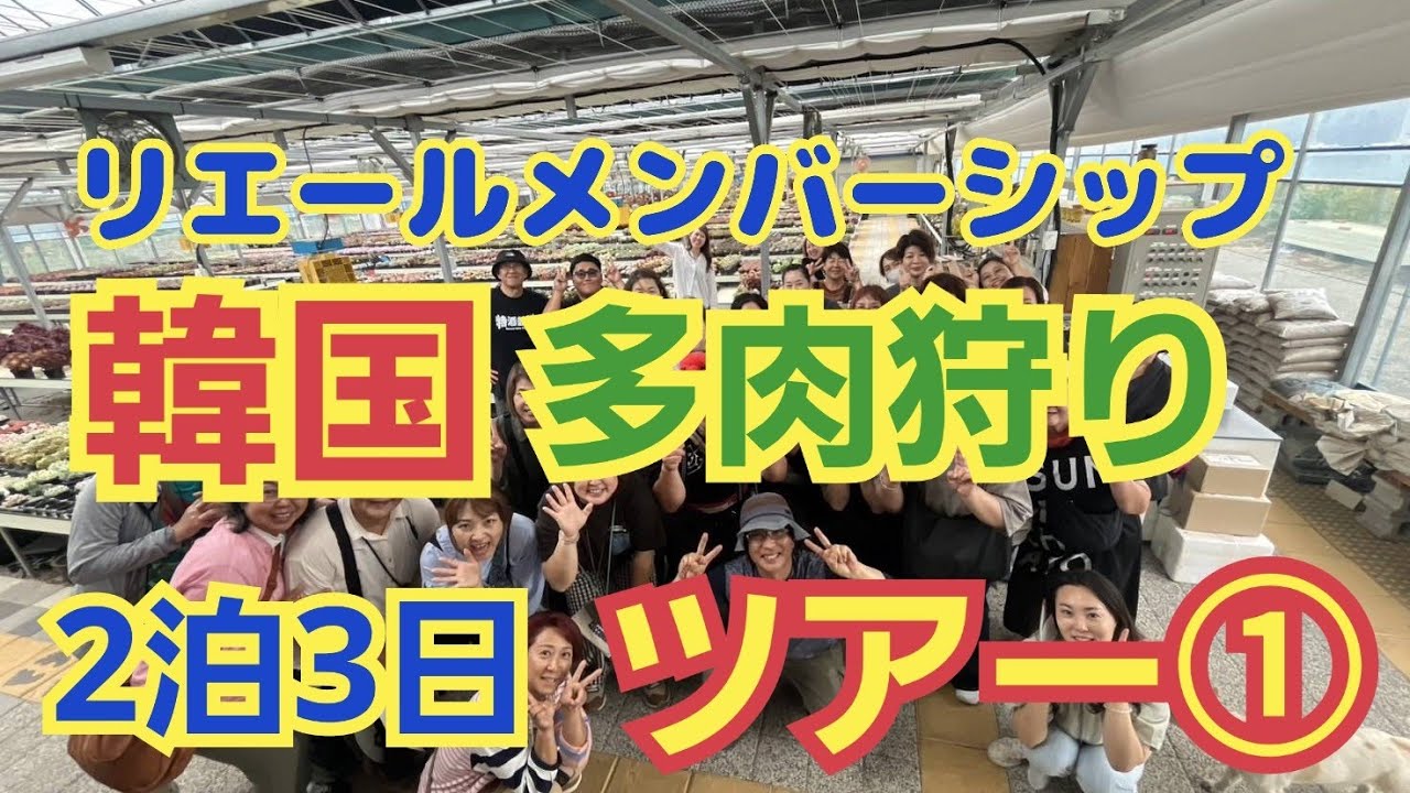 【多肉植物】【韓国多肉狩りツアー】【リエールメンバーシップ】韓国🇰🇷多肉狩りツアー①2025年5月16日