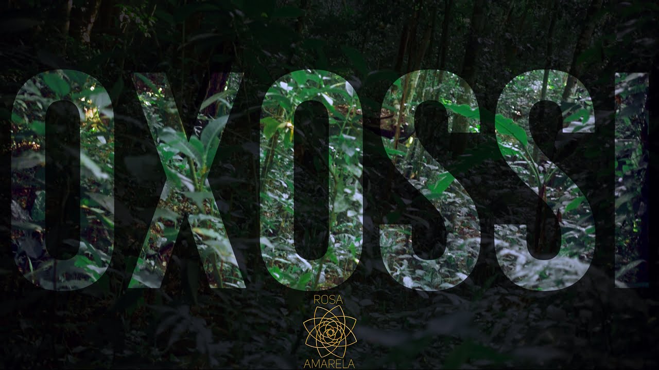 OXOSSI - Rosa Amarela
