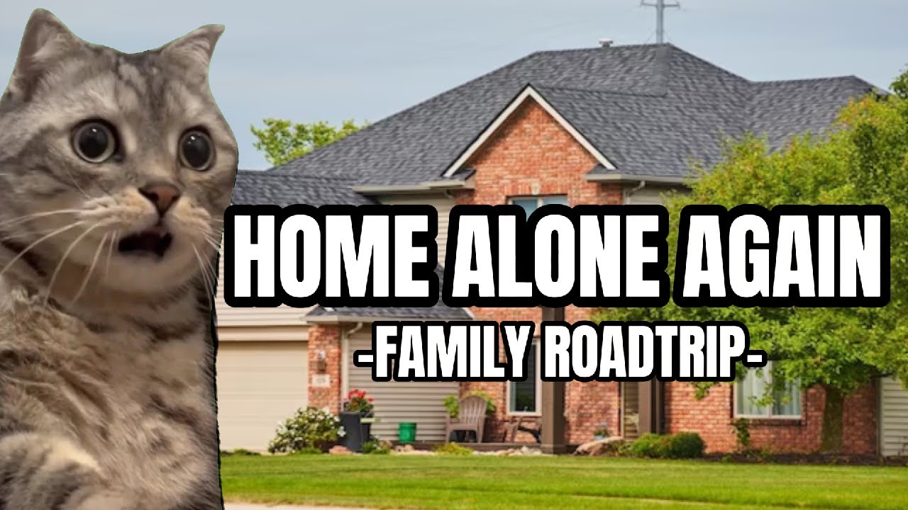 CAT MEMES: THE GREAT ADVENTURE ROADTRIP PT.1