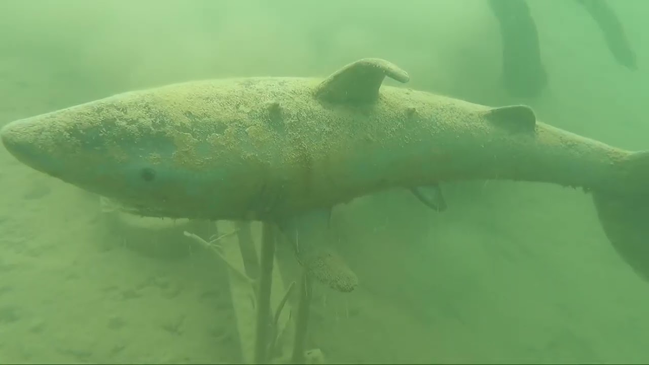 Tauchgang im Urisee, &Ouml;sterreich, Juni '25