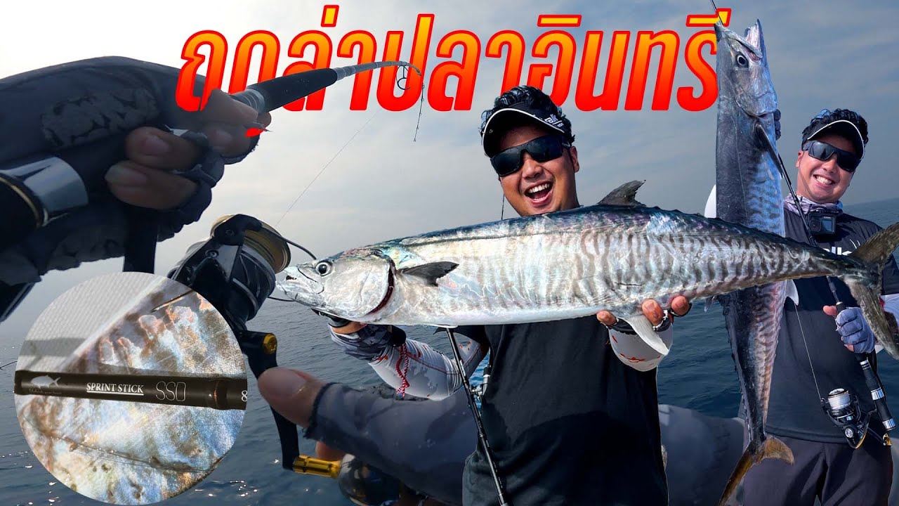ฤดูกาลล่าปลาอินทรี King Mackerel Season l CC English
