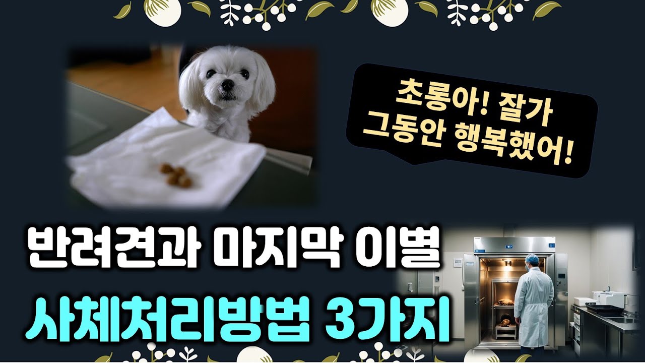 반려견과 마지막 이별, 사체처리 방법과 장례절차