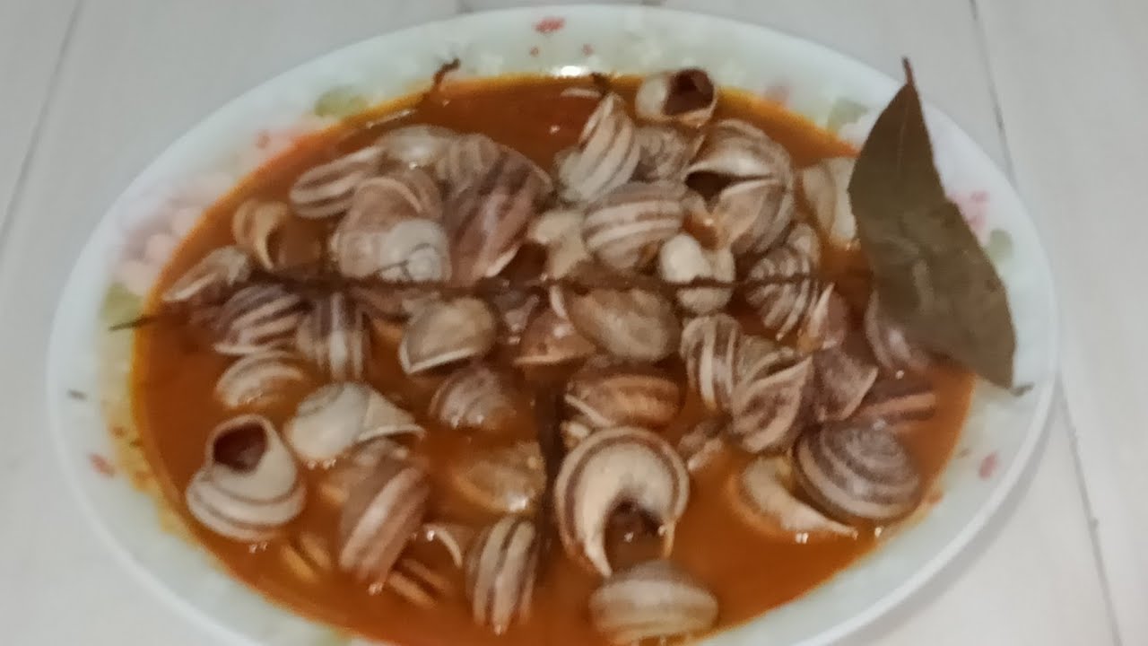 🐌🐌,وصفة الببوش (الحلزون) وجميع اسراره على طريقة معسكر🐌🐌