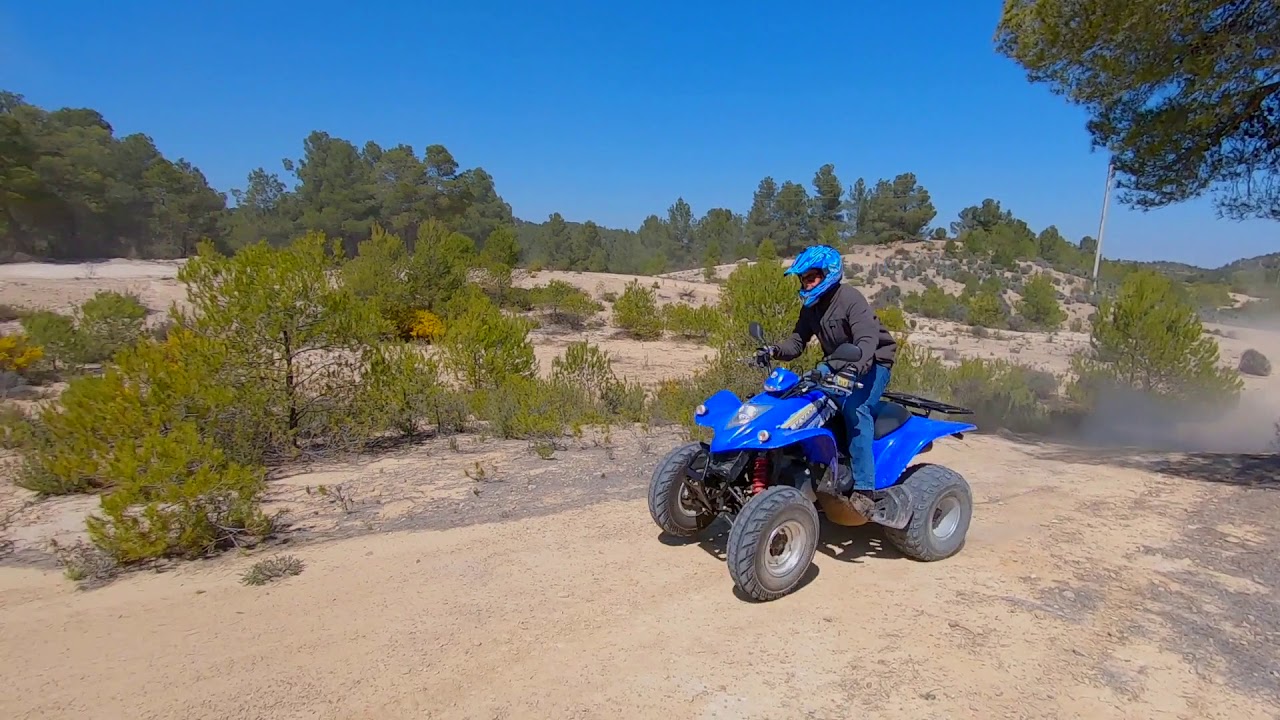 Kymco KXR 250: The 