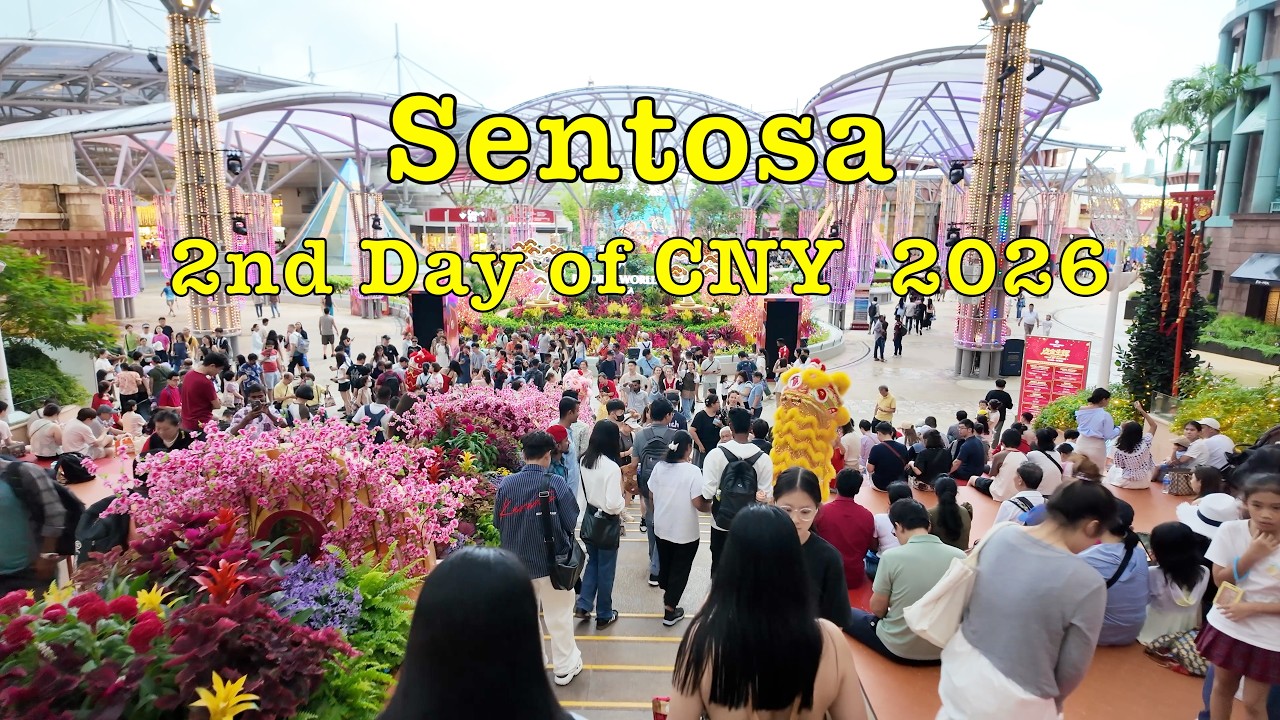 2nd Day of CNY 2026 Sentosa Lion Dance Show #singapore #cny2026 #sentosa #liondance