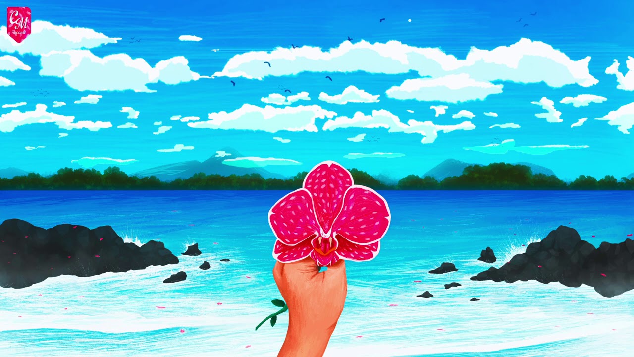 Chiccote's Beats & Mindeliq - Orchid Oceans