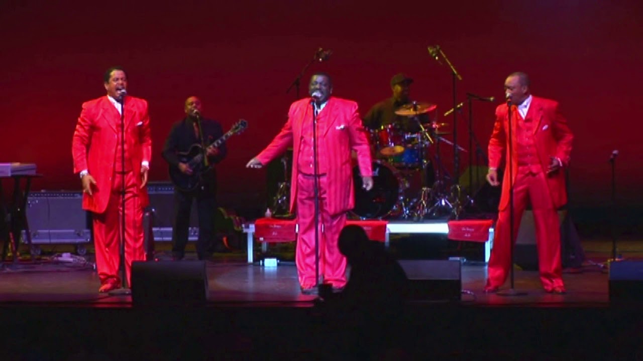 The Softones - Live In Concert