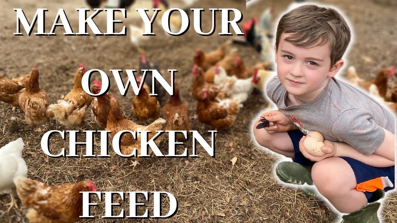 Make your Own Chicken Feed! Cut cost!  | SPEND $2 A MONTH