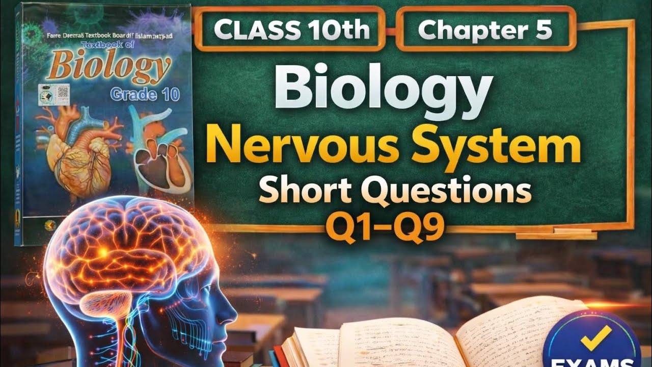 Class 10 Biology Chapter 5 Nervous System | Short Questions Q1–Q9
