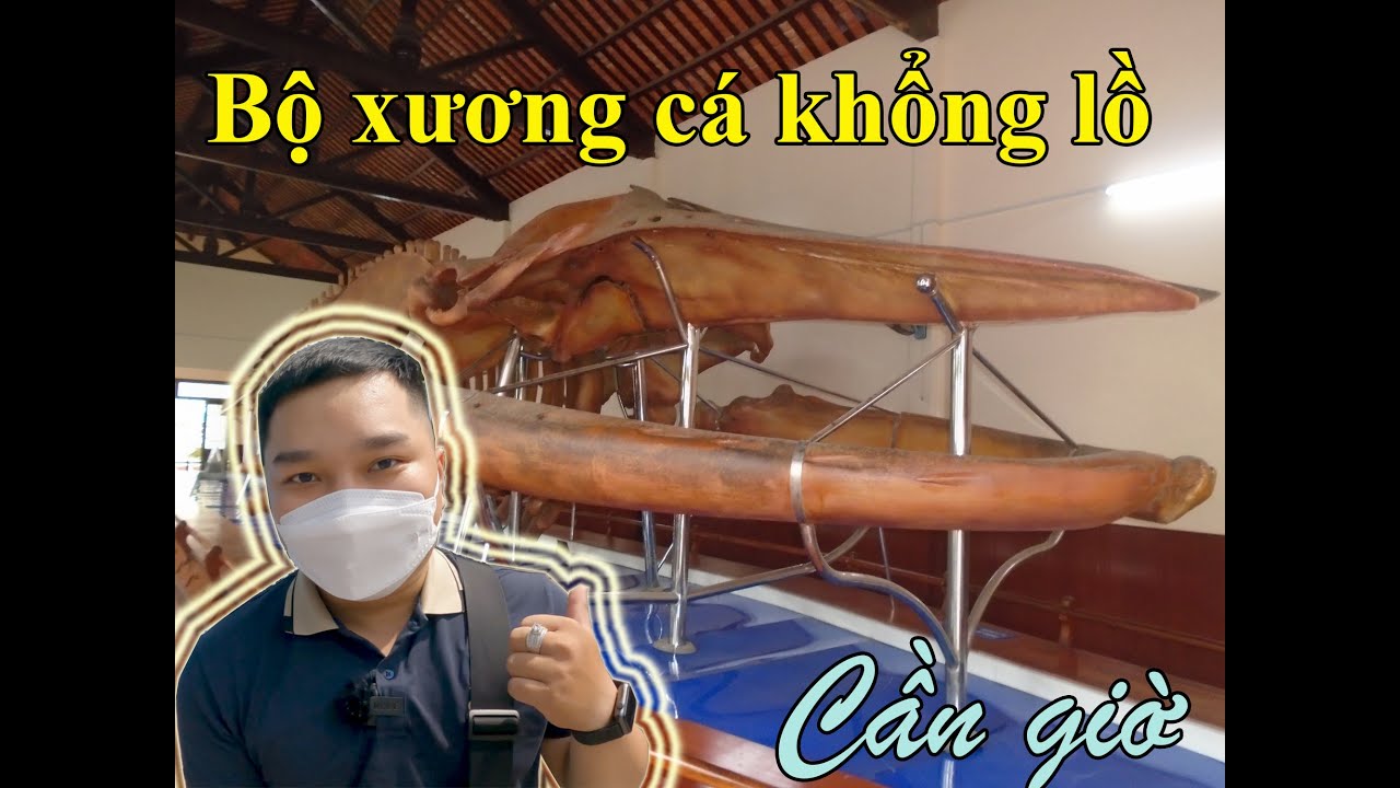 Lăng ông thuỷ tướng tại cần giờ - Bộ xương cá khổng lồ| Lú TV