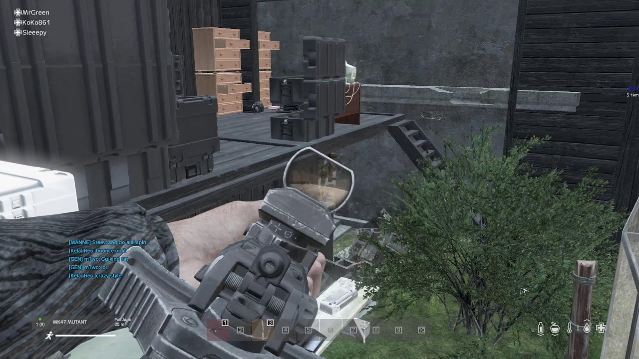 DaYz