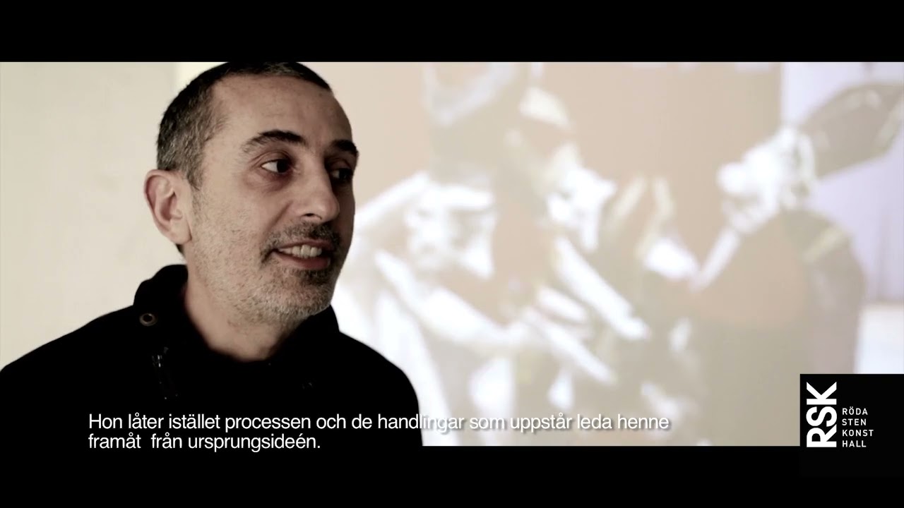 Nathalie Djurberg och Hans Berg, Fåfänga försök på Röda Sten Konsthall 2012