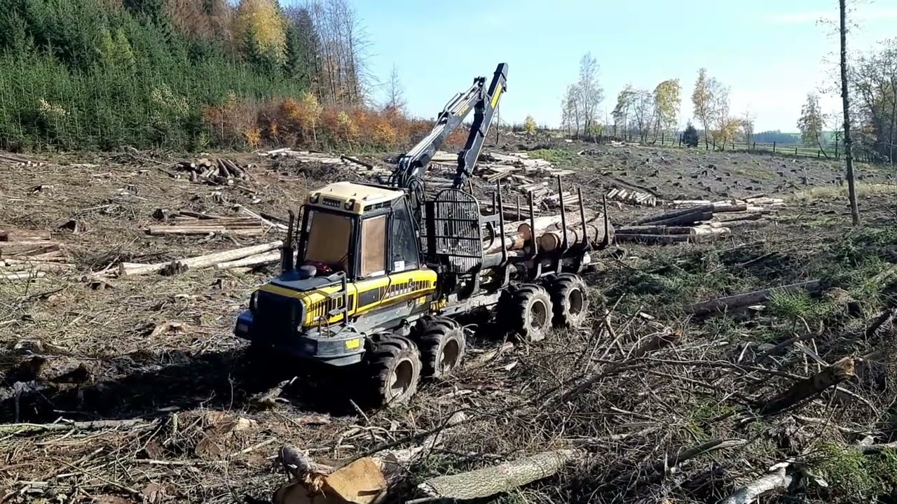 The entire forest was cut down and the Ponsse Wisent wood loader