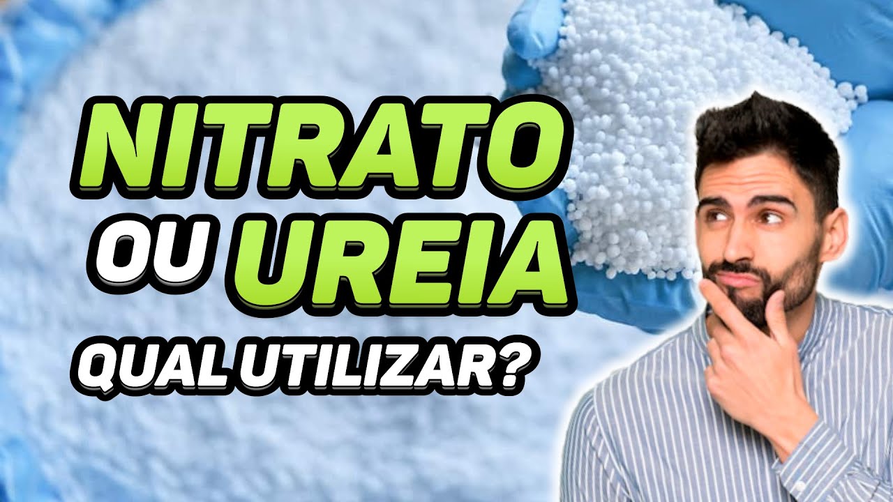 NITRATO ou UREIA, qual UTILIZAR?
