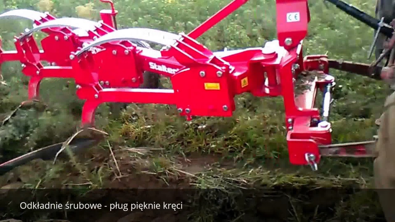 Test pługa staltech resorak 3+ Belarus 80KM orka łubinu