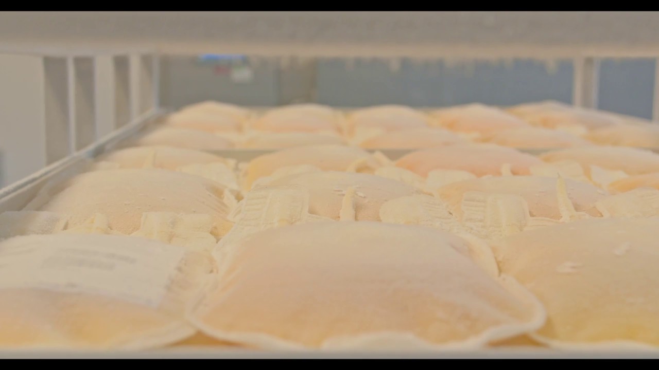 Dohmeyer | Cryogenic Pharmaceutical Freezer (Control Rate Freezer)