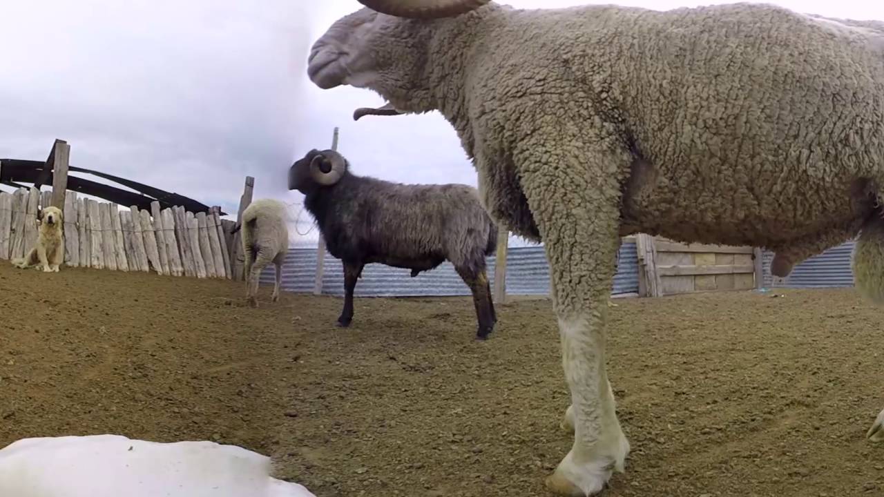 Step into a Navajo Hogan | 360-degree Video