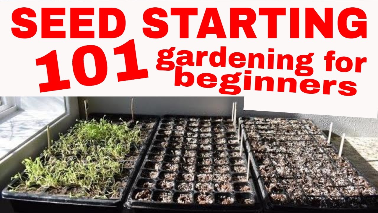 ORGANIC GARDENING--🌿Seed Starting 101🌿#seedstarting