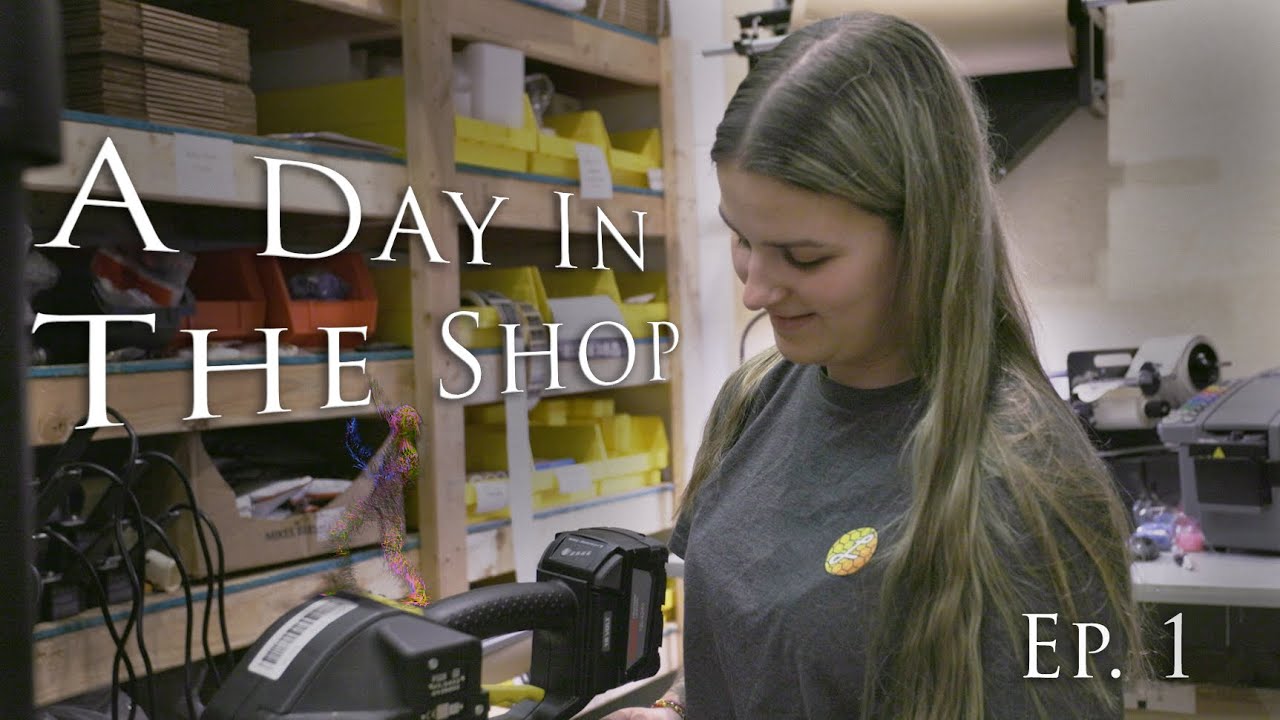 Hive IQ colonies just got an UPGRADE - Day in the Shop Ep 1