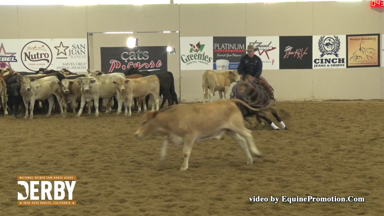 Shiney Outlaw - NRCHA Derby Two-Rein Spectacular Open Champion