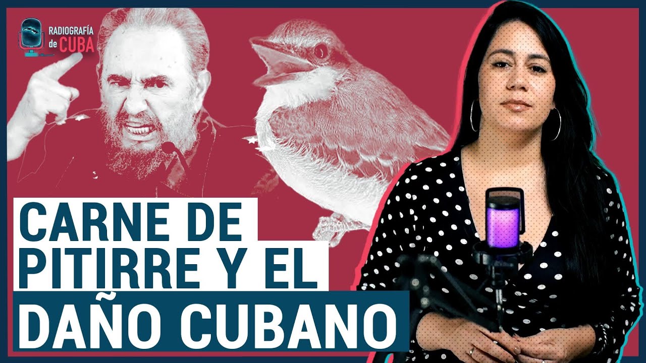 Díaz-Canel, los apagones, el pitirre y el daño cubano
