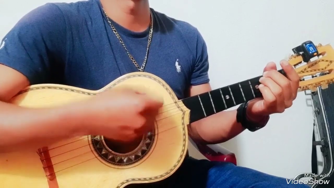No entiendo// Ana Gabriel// Vihuela