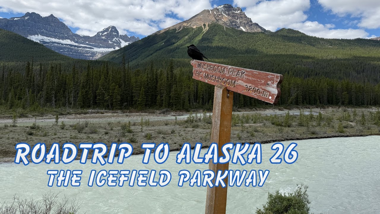 Driving the Entire Icefield Parkway - From Bow Lake to Jasper / Road to Alaska #26