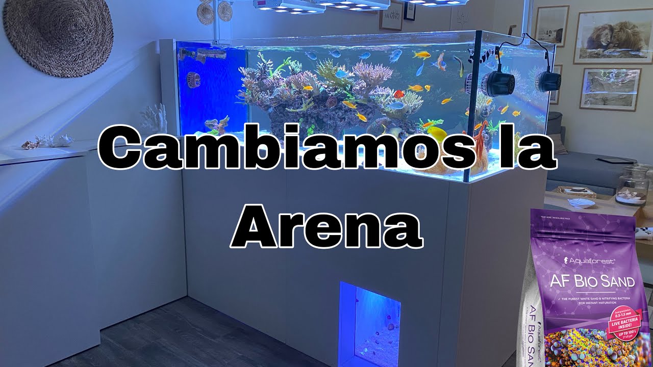 Cambiamos la Arena - Aquaforest Bio Sand