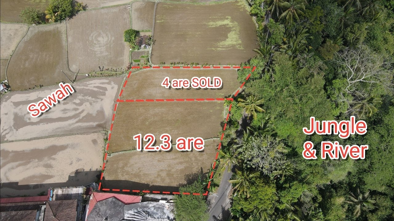 Tanah MURAH di Tegalalang Ubud Bali View Jungle & Sawah