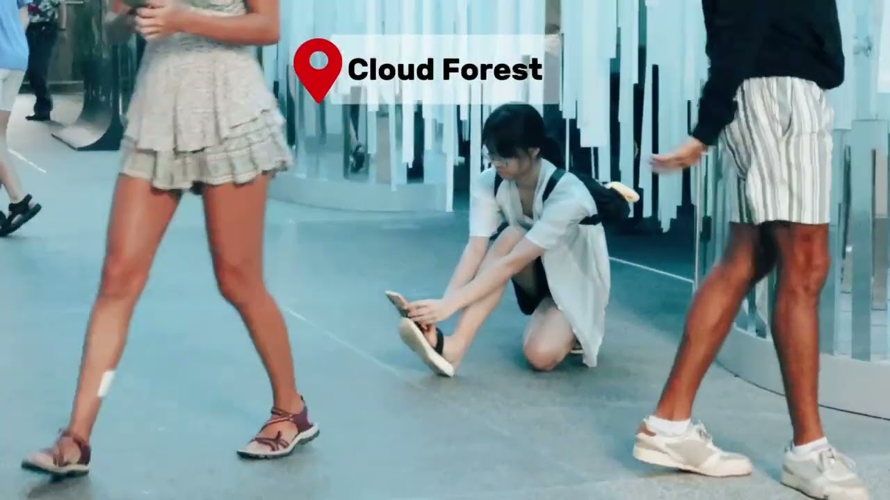 Cloud Forest, Singapore ⛲