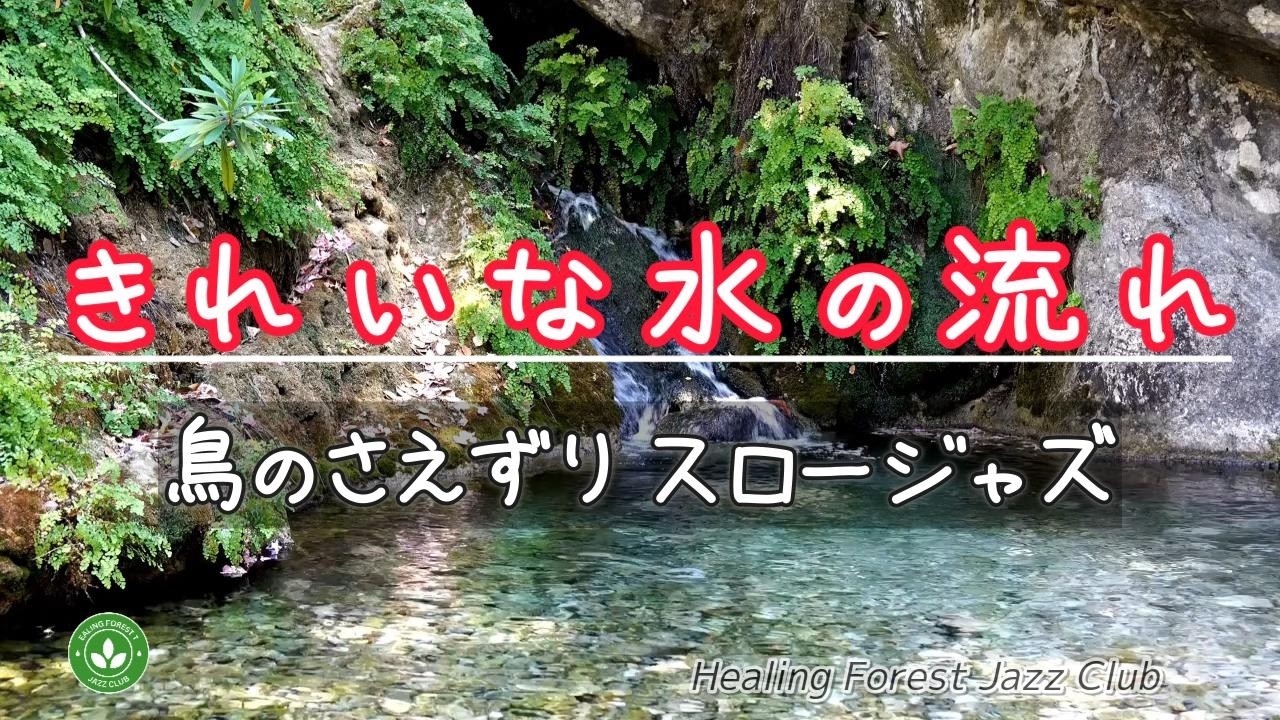 癒しの森ジャズクラブへようこそ！ライブ配信