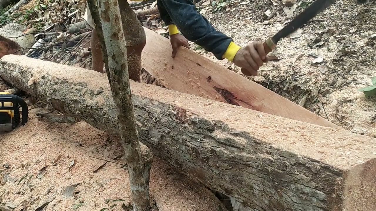 CHANSAW,,, keterampilan buat papan dengan senso mini FMB 007 USA,,,