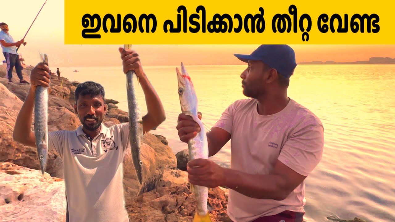 “Back-to-Back Catches – You’ve Gotta See This!” | Al Zorah Ajman
