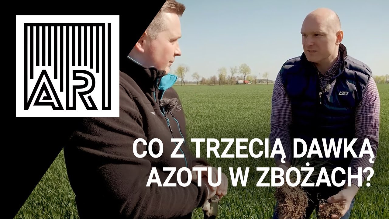 Co z trzecią dawką azotu w zbożach? II AR #148