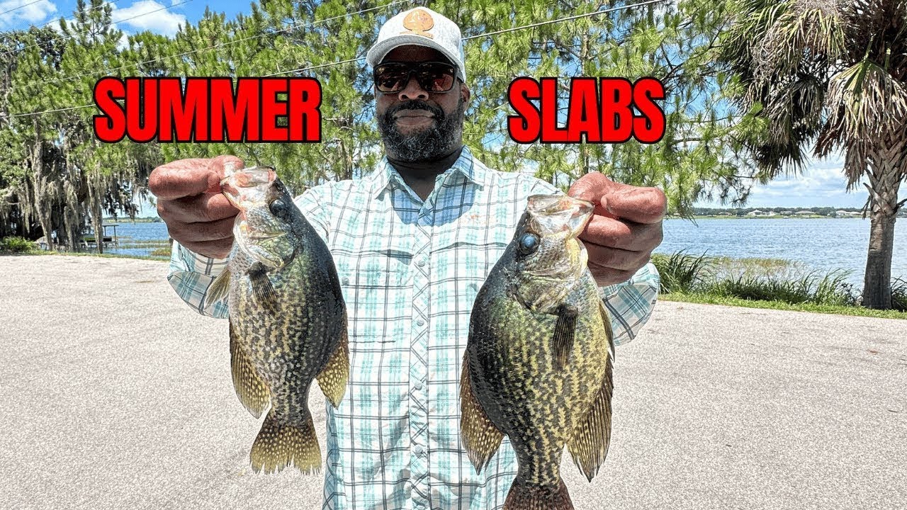 Florida Crappie Fishing | summertime crappie fishing 