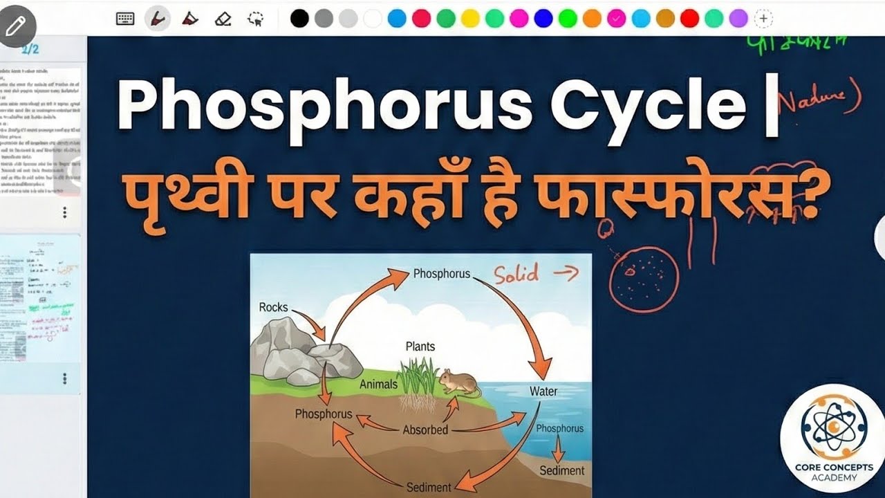 What is phosphorus ? 